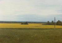 �V�x���A�S���@���Ԕ�