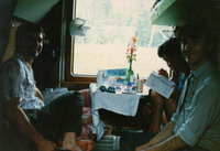 �V�x���A�S�� �񓙋q��